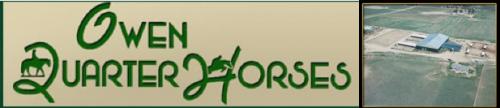 Owen Quarter Horses