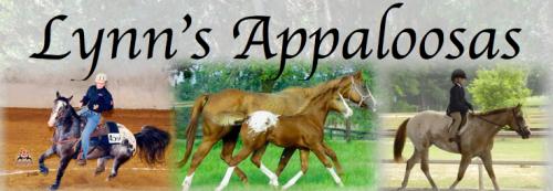 Lynn's Appaloosas