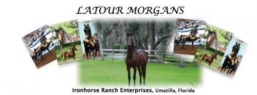 Latour Morgans