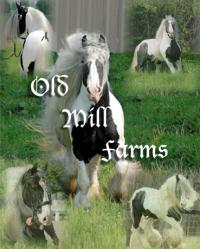 Old Mill Farm 