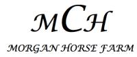 MCH MORGAN HORSE FARM