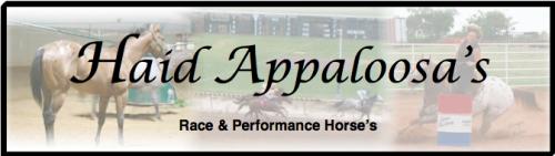 John Haid Appaloosas