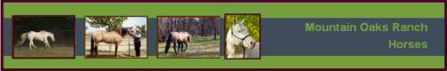 Mountain Oaks Ranch 