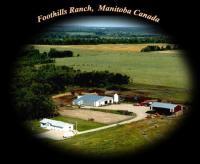 Foothills Ranch