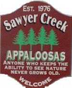 Sawyer Creek Appaloosas