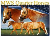 MWS Quarter Horses