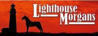 Lighthouse Morgans