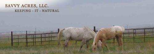 Savvy Acres Appaloosas