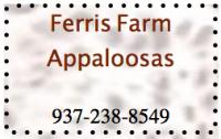 Ferris Farm Appaloosas