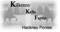 Kilkenny Kells Farms Hackney Ponies