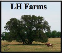 LH Farms 