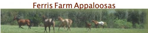 Ferris Farm Appaloosas