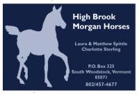 High Brook Morgan Horses