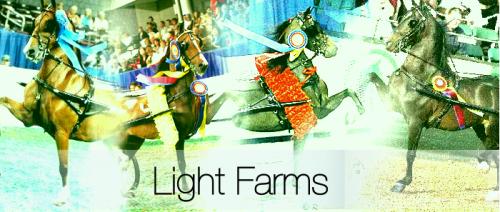 Light Farms 