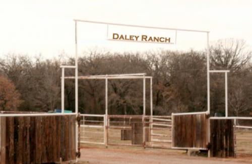 Daley Quarter Horses 