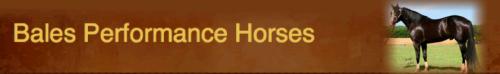 Bales Performance Horses