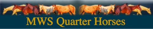 MWS Quarter Horses