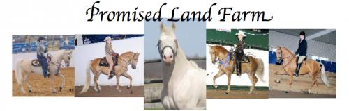 Promised Land Farm 